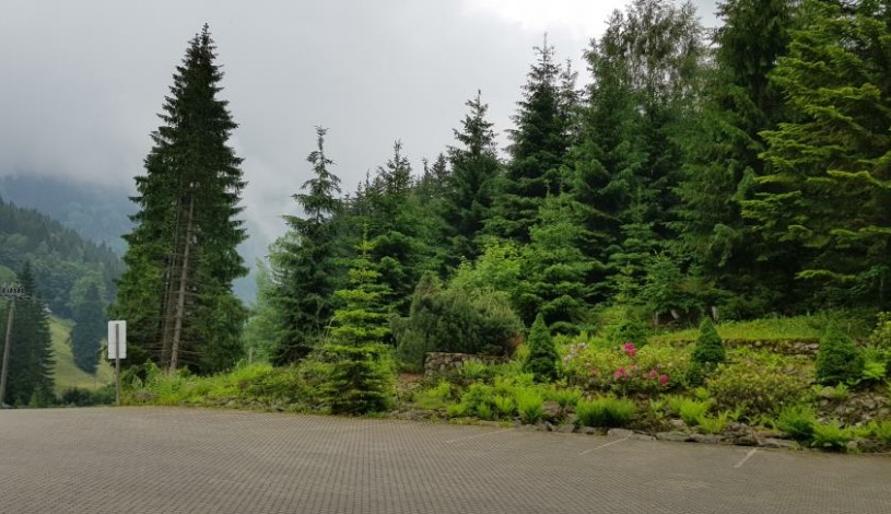 Wellness hotel Velveta Špindlerův Mlýn